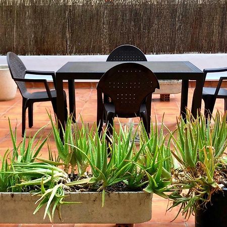 El Jardin De Veronica Saragossa Zewnętrze zdjęcie